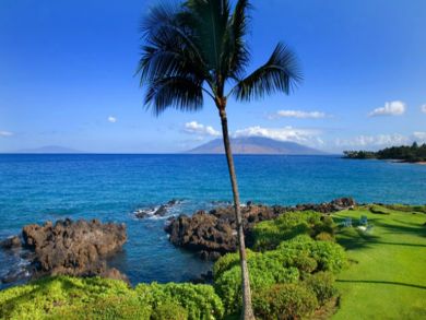 Ocean view